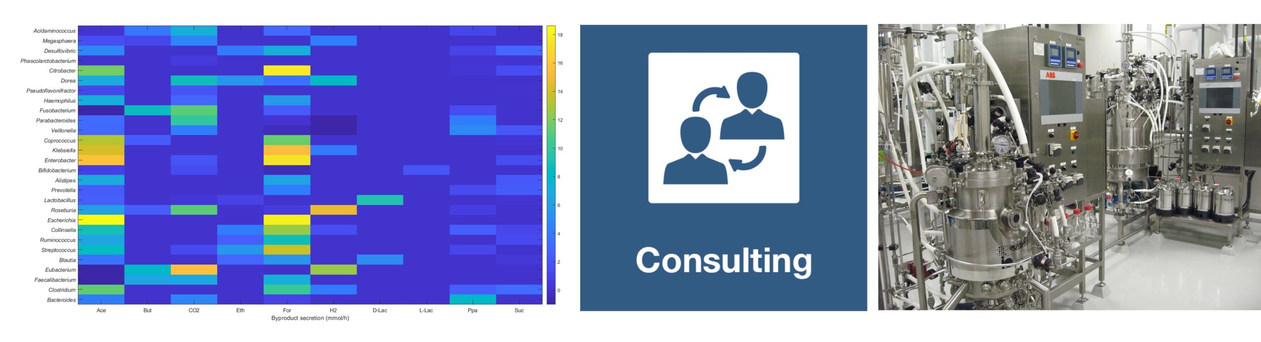 Metabolic modeling consulting