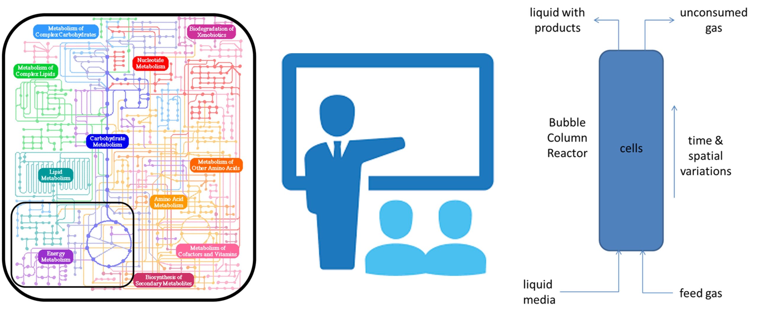 Metabolic modeling training